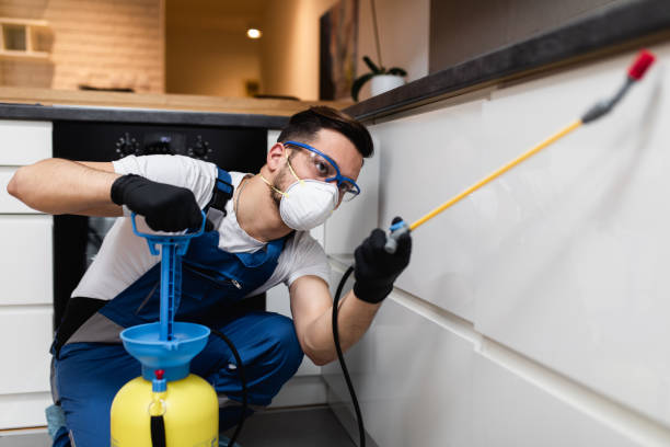 Best Bed Bug Extermination  in Edgerton, MN