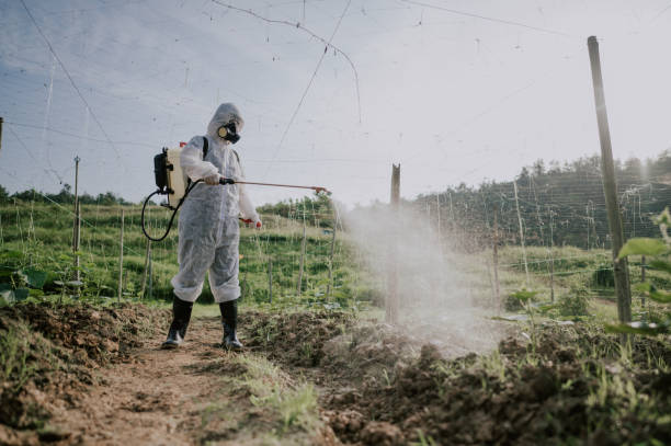 Best Ant Control Services  in Edgerton, MN