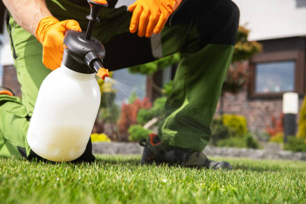 Best Local Pest Control Services  in Edgerton, MN