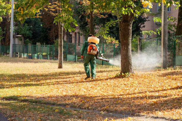 Best Wasp Removal Services  in Edgerton, MN