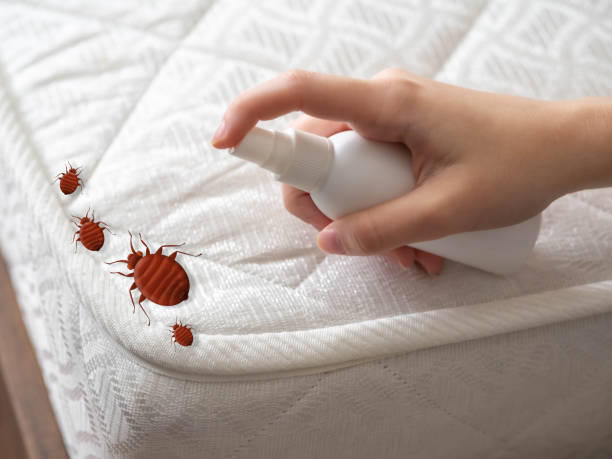 Best Emergency Pest Control  in Edgerton, MN